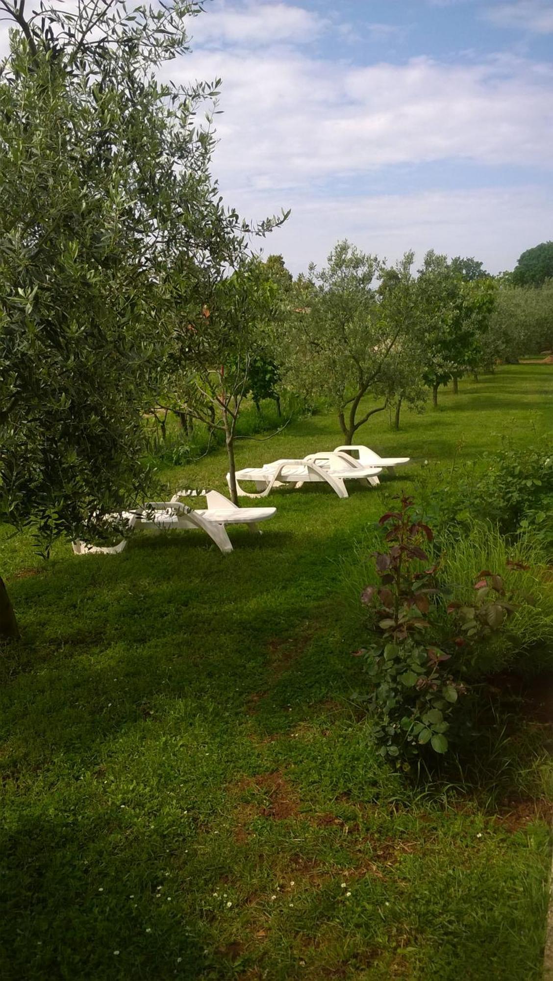Apartmani Natasa Vrsar Exterior foto