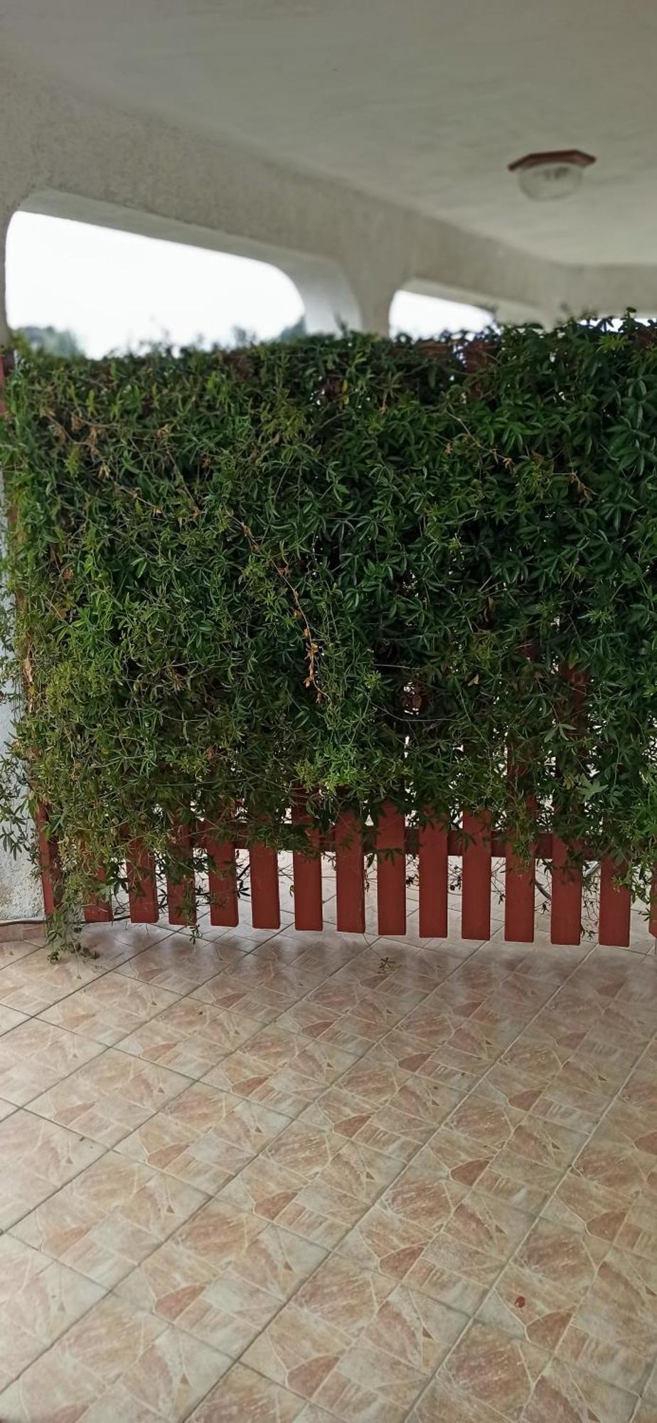 Apartmani Natasa Vrsar Exterior foto